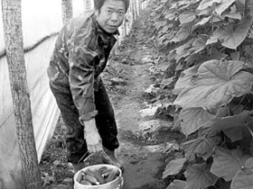 Нелегальный мигрант. Фото: rg.ru (с) Нелегальный мигрант. Фото: rg.ru (с)