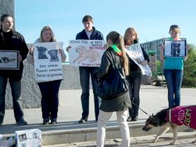 Пикет зоозащитников. Фото Лизы Охайзиной, Каспаров.Ru Пикет зоозащитников. Фото Лизы Охайзиной, Каспаров.Ru