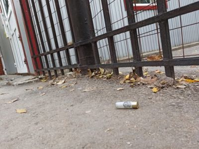 Фото: Анатолий Романов / РИА Новости Фото: Анатолий Романов / РИА Новости