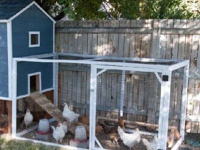 Дачный курятник. Фото: fermeru.pro Дачный курятник. Фото: fermeru.pro